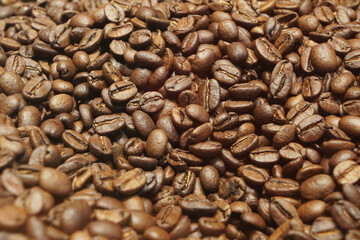 Fototapeta premium Close up brown roasted coffee beans