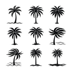 palm tree silhouette bundle