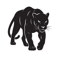 Fototapeta premium Fierce Black Panther Silhouette in Stealth Hunting Walking Pose