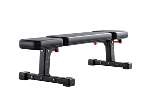 Gym Bench Press isolated on transparent or white background