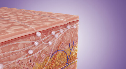 Collagen Structure with Threads and Cellular Detail Close Up Illustration