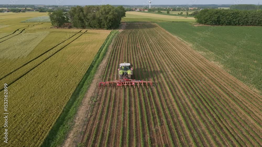Poster a tractor is seen from above as it moves along neatly arranged rows of crops on a cultivated field. 
