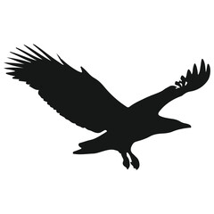 Fototapeta premium Black silhouette of an eagle in flight