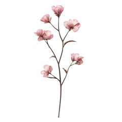 Fototapeta premium Pink Dogwood Flowers on Branch on Transparent Background.