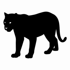 Silhouette of a Walking Panther Isolated on White Background
