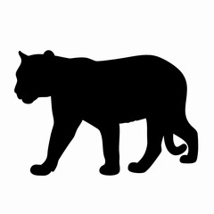Silhouette of a Walking Panther Isolated on White Background

