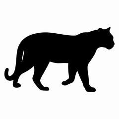 Silhouette of a Walking Panther Isolated on White Background
