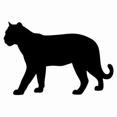 Silhouette of a Walking Panther Isolated on White Background
