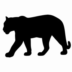Silhouette of a Walking Panther Isolated on White Background
