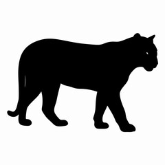 Silhouette of a Walking Panther Isolated on White Background
