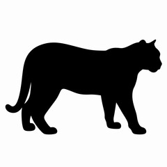 Silhouette of a Walking Panther Isolated on White Background
