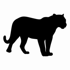 Silhouette of a Walking Panther Isolated on White Background
