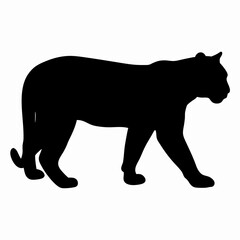 Silhouette of a Walking Panther Isolated on White Background
