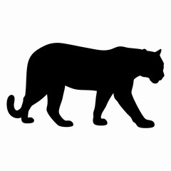 Silhouette of a Walking Panther Isolated on White Background
