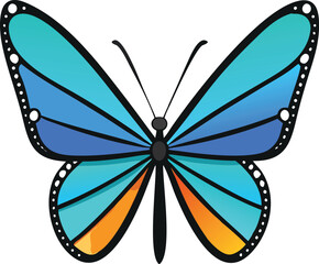 Colorful butterfly . Vector illustration