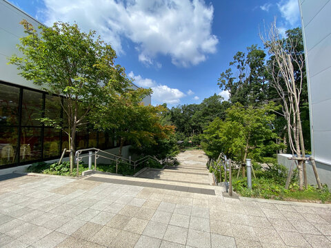 Granberry Park Campus Path