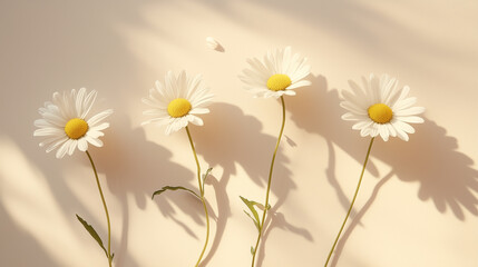 flowers on a white background