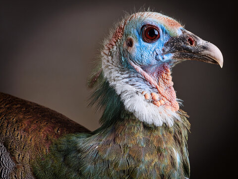 รูปภาพAckn – เลือกดูภาพถ่ายสต็อก เวกเตอร์ และวิดีโอ3 | Adobe Stock