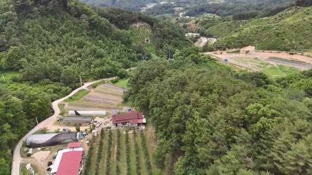 Rural Village Scenery in the Mountains shows rural roads, mountain landscapes, and farmhouses. (2025.6.12 Ijeon-ri, Jirye-myeon, Gimcheon-si, North Gyeongsang Province)