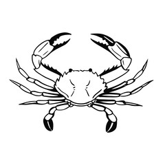 The single black and white illustration of crab showcases its anatomical details accurately