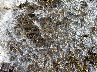 Close-up of frozen ground with blades of grass and air bubbles trapped in transparent ice. Natural winter texture.