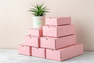 Pink Cardboard Boxes Stacked with Succulent Plant Top a Stylish Packaging or Storage Solution