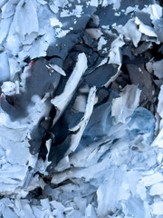 The texture is white gray ash from burnt leaves on the ground. Natural burnt paper