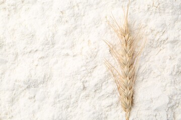Spike on white flour, top view. Space for text