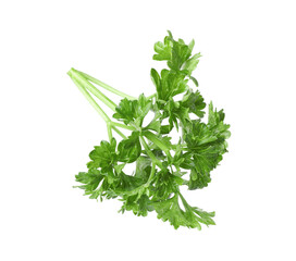 Sprig of fresh parsley isolated on white