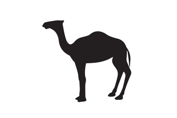 Fototapeta premium Black vector illustration of a standing camel in a clean and bold silhouette style. Perfect for desert-themed designs, travel and tourism graphics, wildlife education, Middle Eastern culture, safari