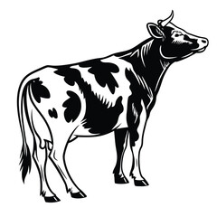 Black and white shows a cow standing with spots pattern on its body