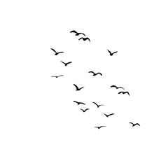 Simple birds flying