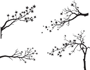 Obraz premium Tree Branch with Leaves Blowing Off