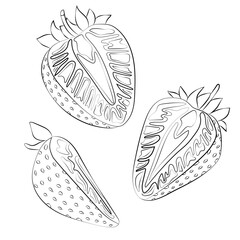 Set of linear icons of strawberries cut into halves. Perfect for coloring books, packaging, logos, design, and print projects