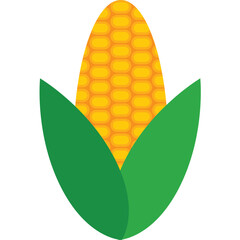 corn flat illustration