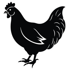 A simple black chicken stands tall showcasing elegant silhouette details, a image