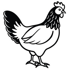 Black and white line art shows a hen standing in profile view perfectly