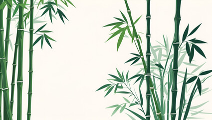 Fototapeta premium bamboo plant on white background/ Minimalist bamboo stems and leaves on white background