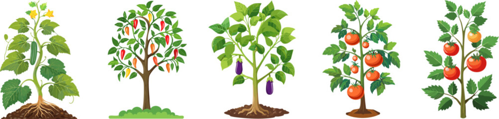 Vibrant illustrations of various fruit and vegetable plants, showcasing the beauty of nature and the bounty of the harvest. They represent diverse, nutritious crops.