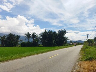 View of straight asphalt road with rice fields and mountains.