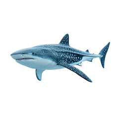 Obraz premium A detailed illustration of a whale shark with distinctive white spots and a streamlined body swimming forward. Png, Transparent background.