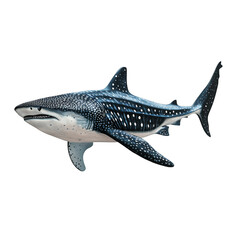 Fototapeta premium A detailed illustration of a whale shark showing its distinct spotted pattern and large size. Png, Transparent background.