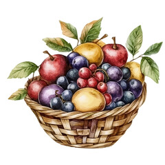 watercolor vector of Uva Ursi Fruit Basket, isolated on a white background.