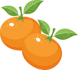 Two fresh, juicy oranges with vibrant green leaves