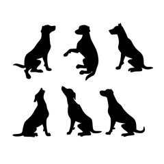 black silhouettes of dogs