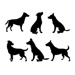 set of dogs