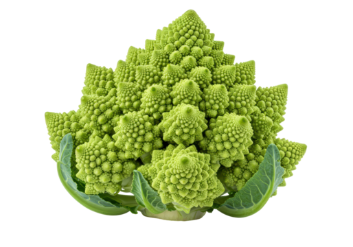 Isolated Romanesco Broccoli Head with Detailed Fractals