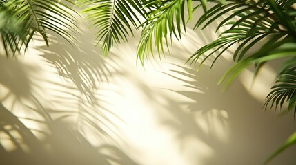 Minimalist white wall with palm leaf shadows background, abstract light texture design for product display, e-commerce visuals, digital media or web banners in natural flat style