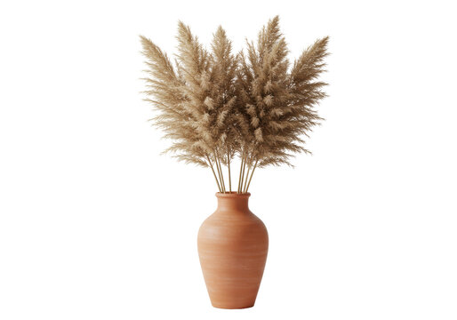 Isolated Pampas Grass in Vase Boho Chic Decor