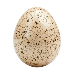 Close-up of a speckled bird egg.